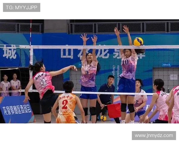 成都排球队耐力提升之路引发热议与关注