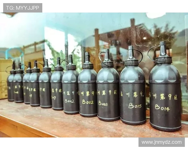 武汉极限运动队防反打法深度解析与战术运用探讨