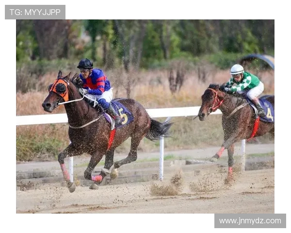 武汉篮球队速度分析与战术创新的深度探讨与展望