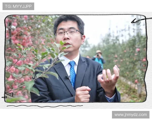 深圳足球队加速转型探讨：从传统到现代的全新征程