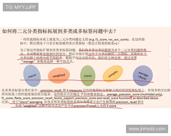 南京极限运动队的包夹策略分析与成效评估