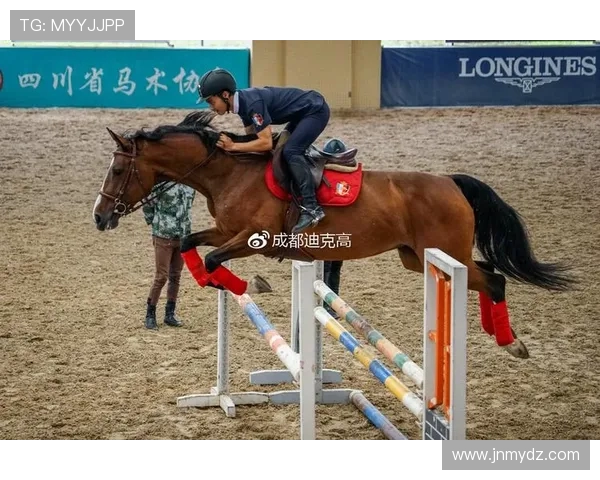 成都飞盘队个人能力深度分析与发展潜力探讨