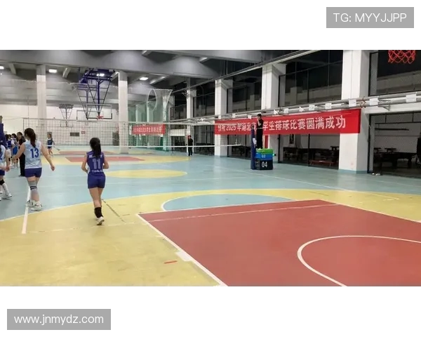 武汉排球队个人能力深度解析与发展潜力探讨 武汉排球队个人能力深度解析与发展潜力探讨