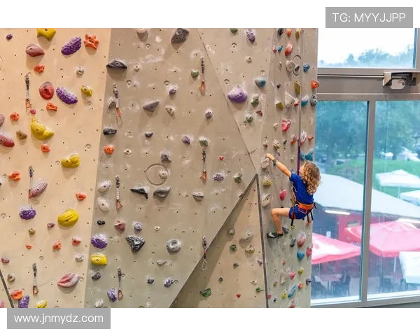 成都攀岩队实力揭秘：攀岩巨献带你领略巅峰挑战与团队精神